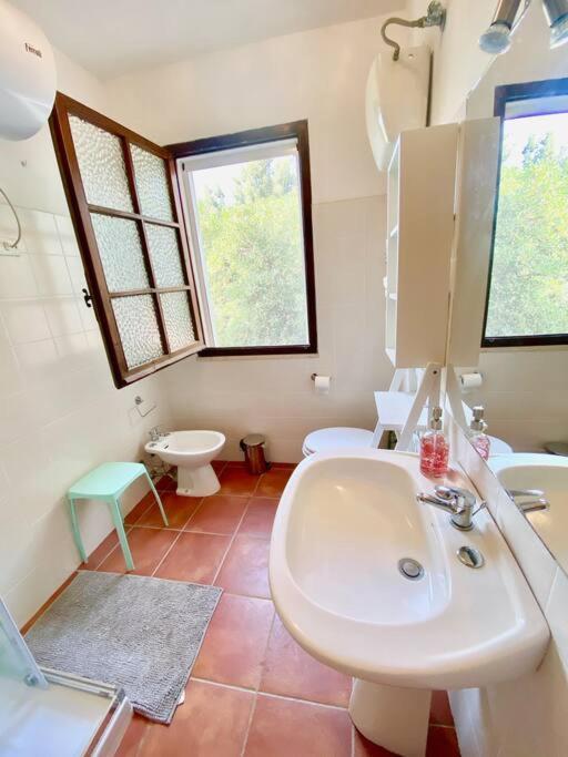 Paradise Beachfront Villa, Porto Columbu, Sardinia Porto Columbu - Perd'E Sali Zewnętrze zdjęcie